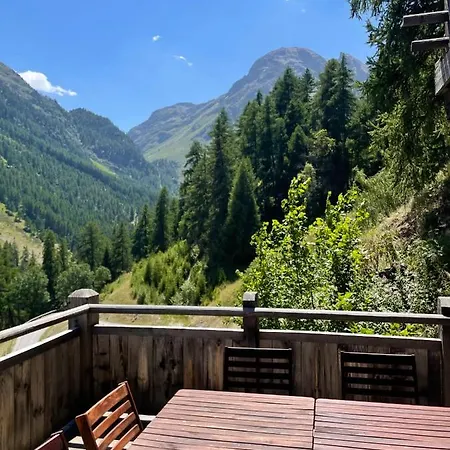 Ourson Brun By Mrs Miggins *